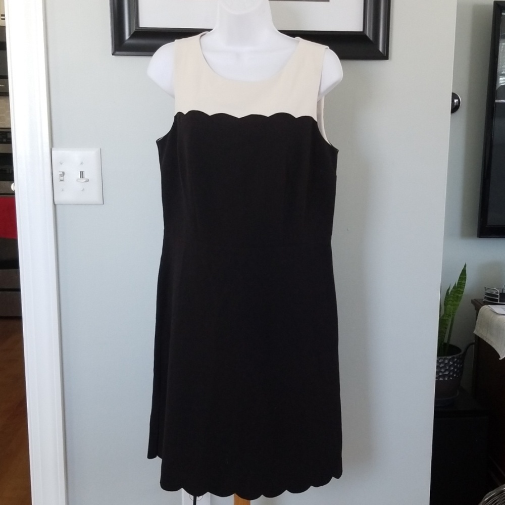 Ann Taylor Loft Black/Cream Scallop Hem Dress - 8